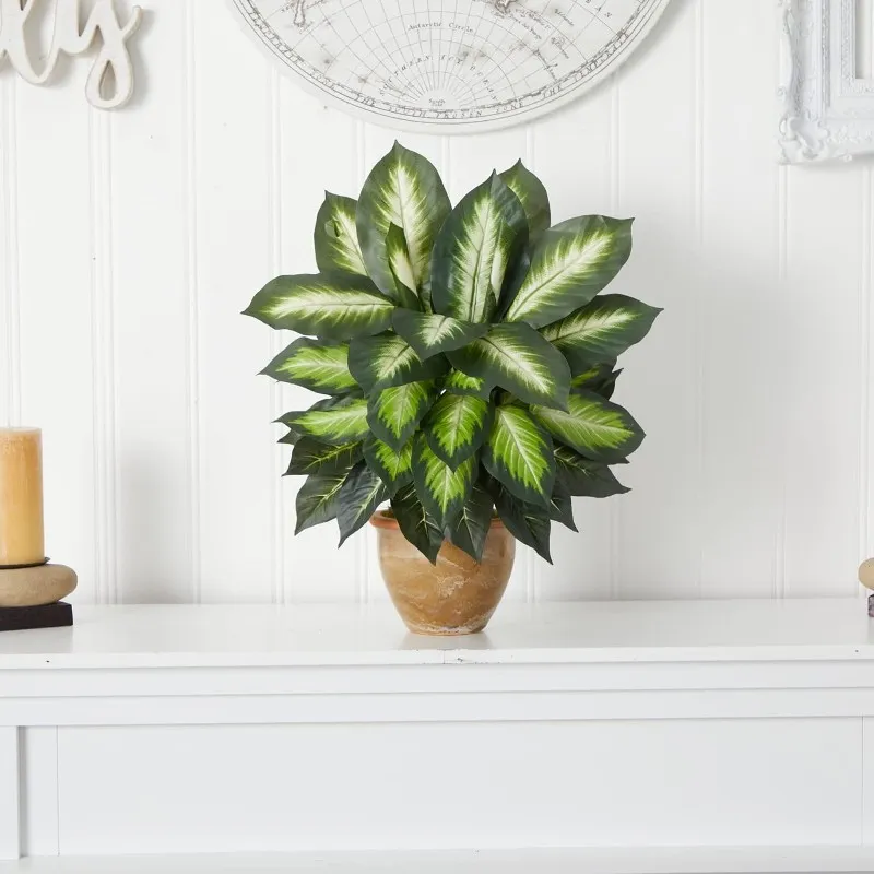 faux Dieffenbachia Plant 1 faux Dieffenbachia Plant 1