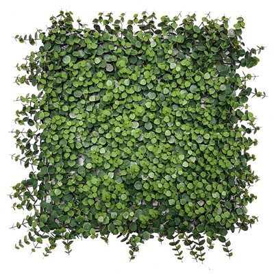 Seinahaljastuse paneel